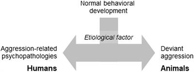 Aggression, Aggression-Related Psychopathologies and Their Models